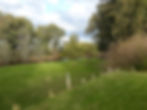 Thumbnail: RIVERGOOSE CAMPSITE & BARGE CRUISES