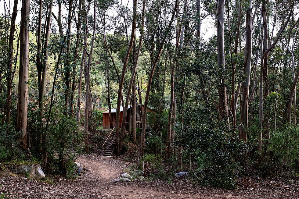 Thumbnail: DE HOOP COTTAGES