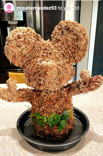 Standing Mouse with new vine sitting in a saucer on the kitchen table.