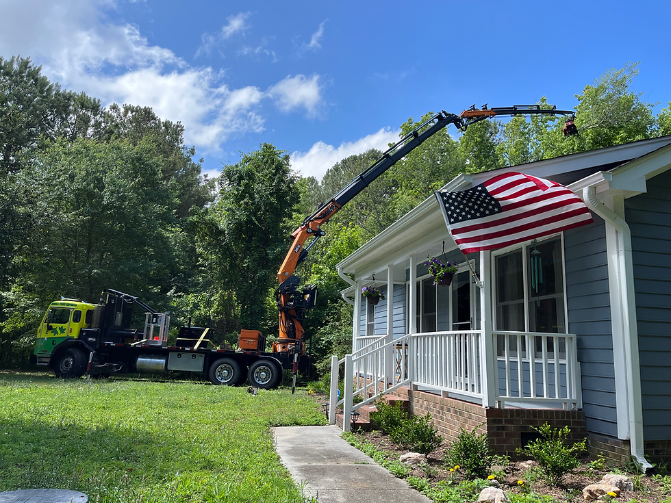 Tree removal and pruning