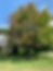 Plant health care