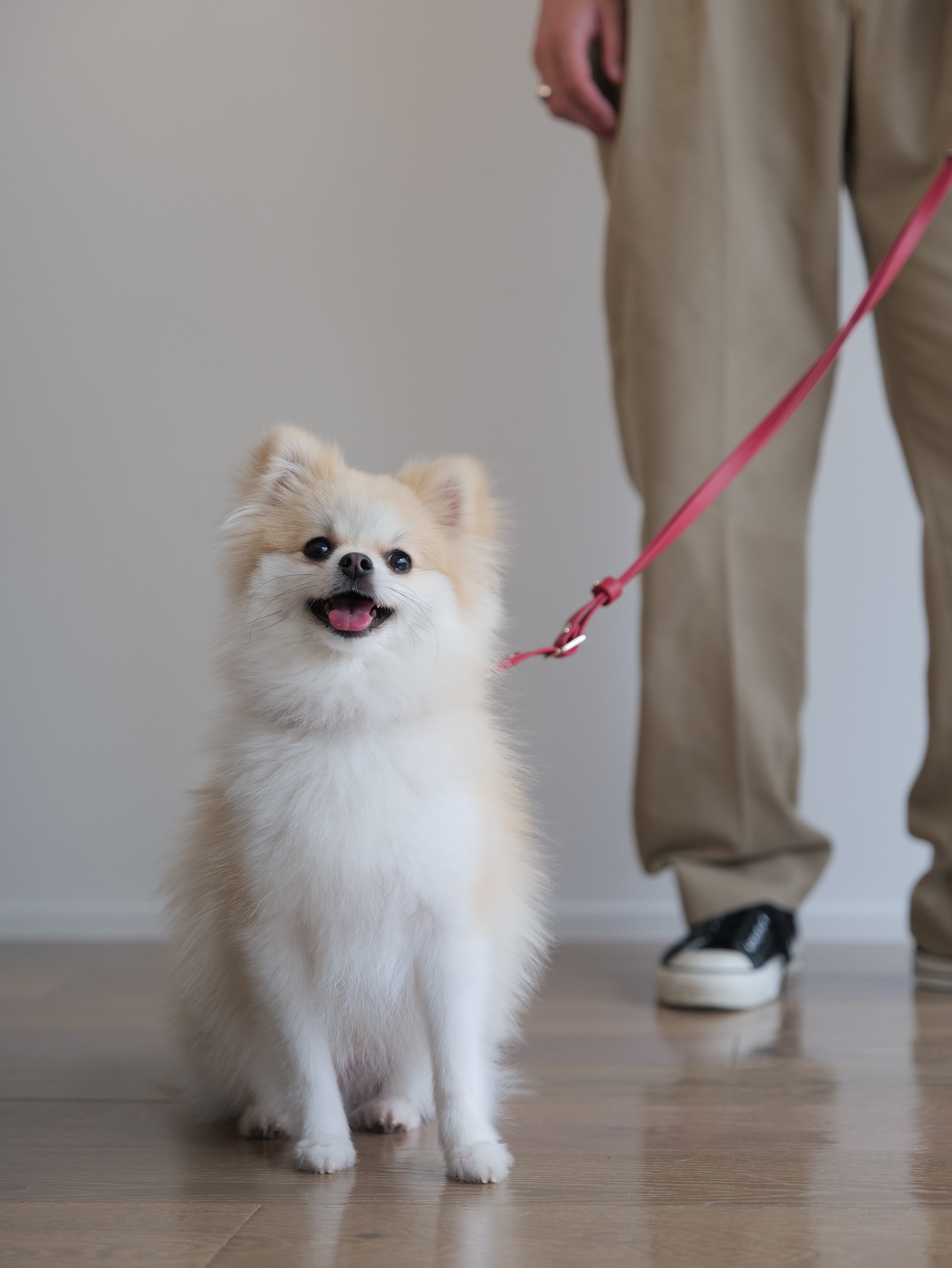 Doggy Leash - Red