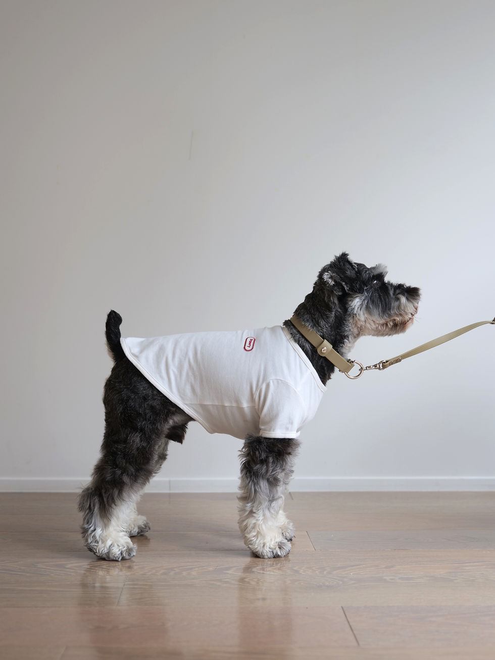 サムネイル： Doggy Tee (M)