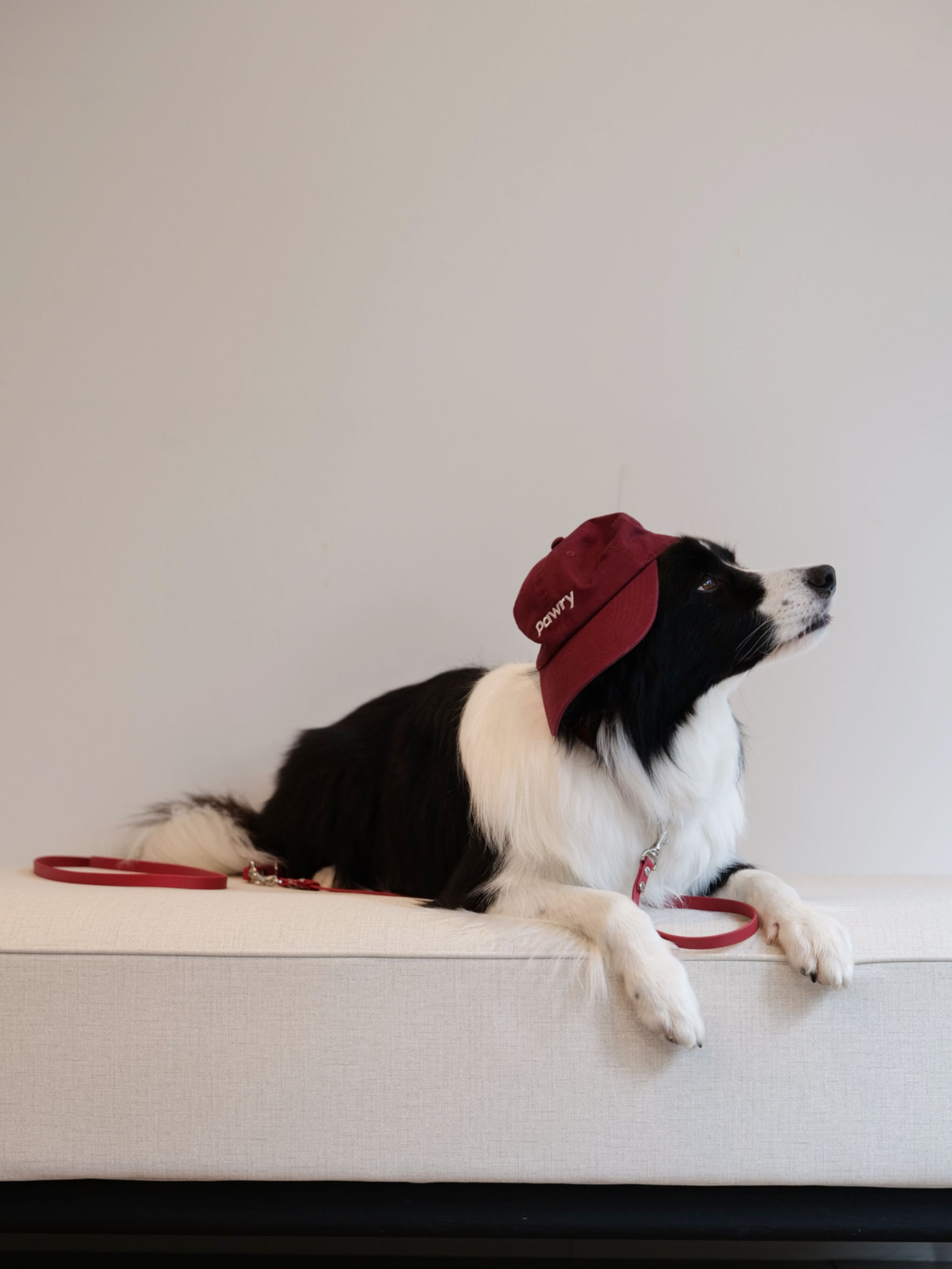 Logo Cap - Red