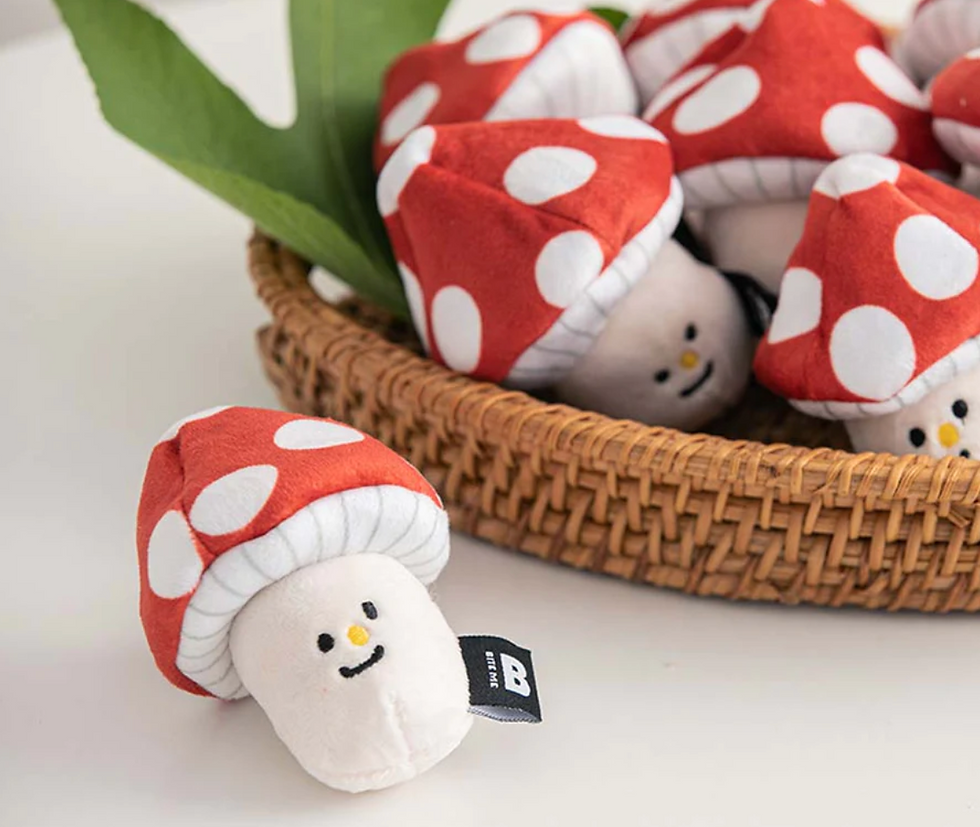 Thumbnail: Bite Me Korea Mushroom Nosework Toy