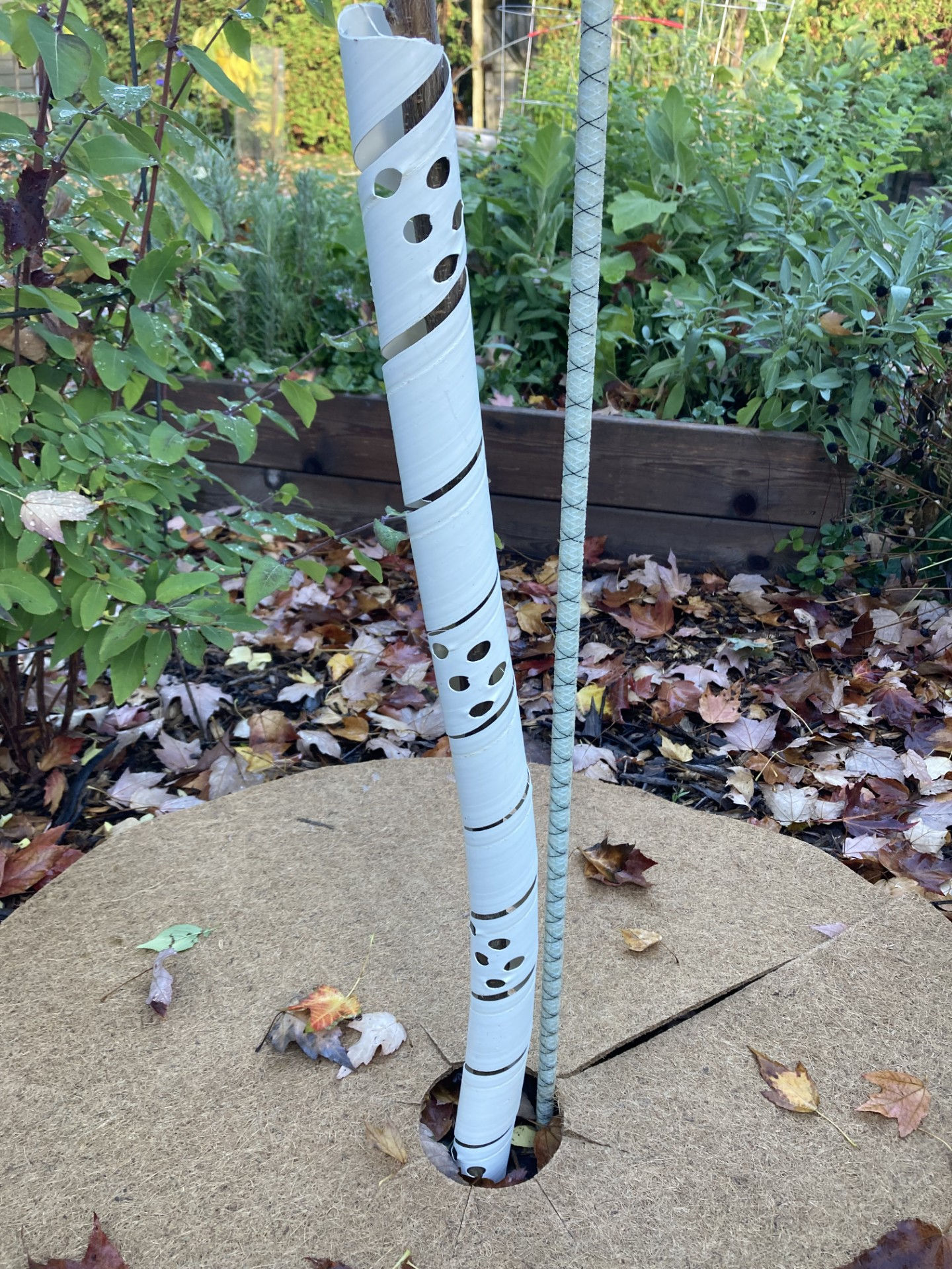 Spiral Tree Protectors