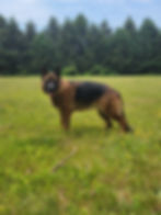 20210602_115527.jpg