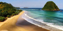 Tour and Travel