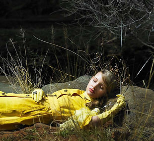 Sleeping Beauty