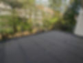 PXL_20240412_142906910.jpg
