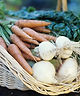 Vegetable Basket_edited.jpg