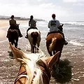 San Diego Beach rides - Horseback riding