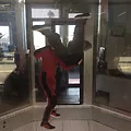 I FLY San Diego Sky diving.webp