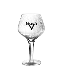 VERRE BUSH 25CL