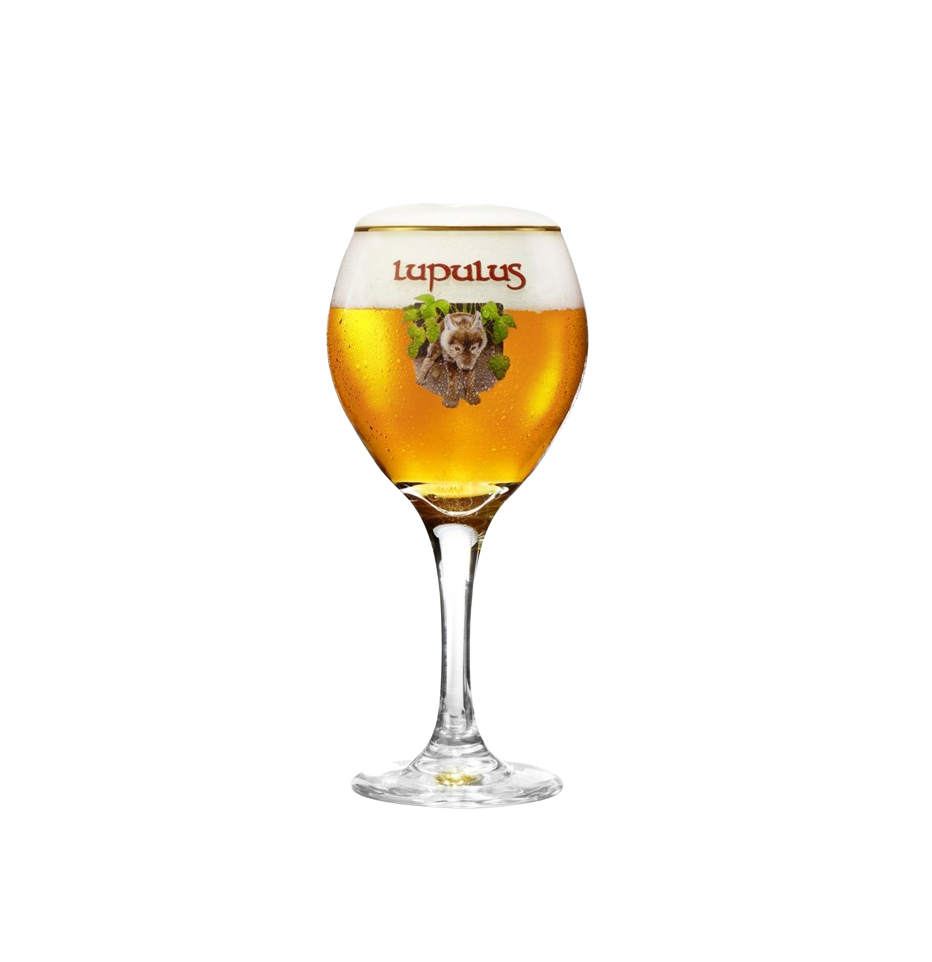 VERRE LUPULUS 25CL