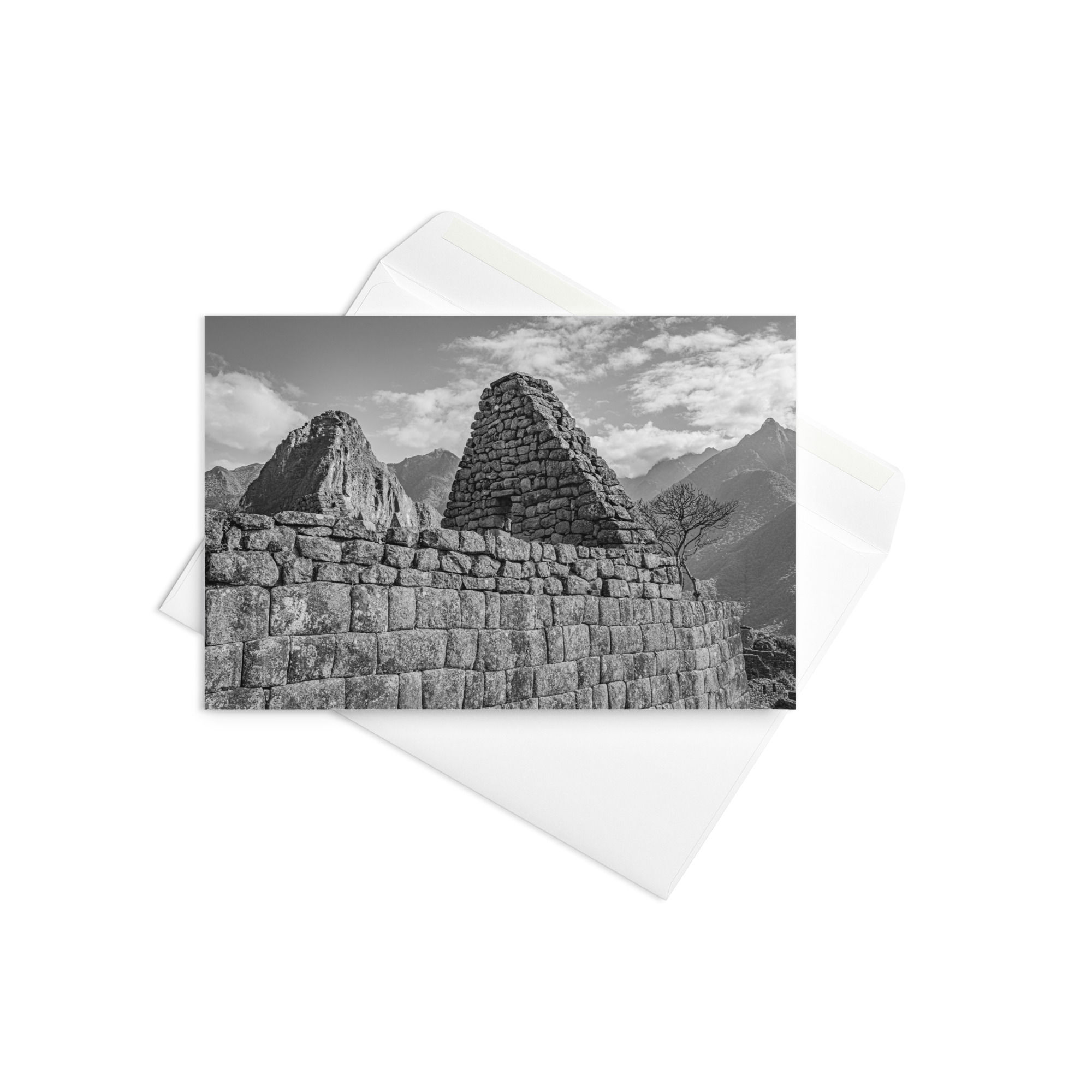 Greeting Card - Aemulatio
