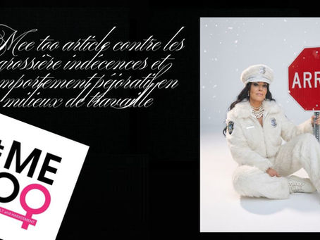 meetoo contre les grossières indescences