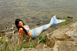 17523598_864872113653231_4048818502814996295_n