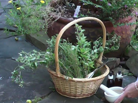 Comment crée votre jardin de sorcière