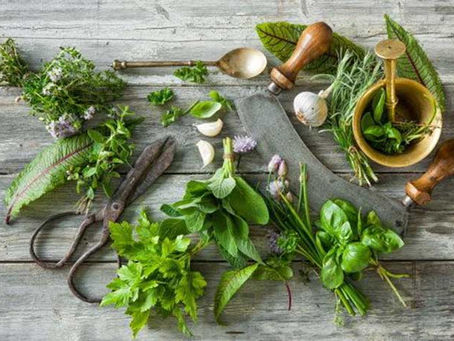 Recette du vinaigre des 4 voleurs