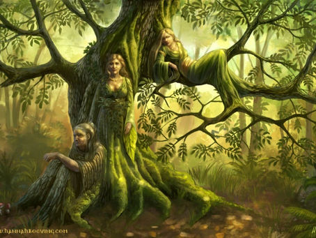 LES 3 GRANDES LOIS WICCA