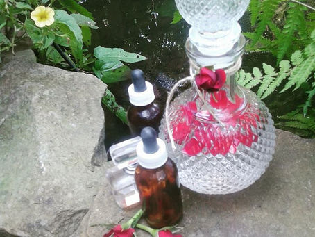 Recette de sorcière: l'élixir d'amour de vénus magie glamour