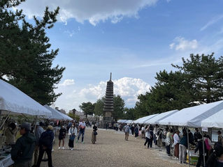 2026年4/4(土)4/5(日)10時～16時　「宇治川桜まつり　同時開催　炭山陶器まつり」京都府立宇治公園 （中の島）周辺（京都府宇治市宇治塔川）　昨年（2025）、一昨年（2024）の様子