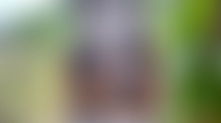 「君の椅子通信vol.17」に、昨年2025年6月の名古屋橦木館での個展会場で展示した「君の椅子コーナー」の様子を掲載してくださった冊子が届きました。嬉しい&驚き。