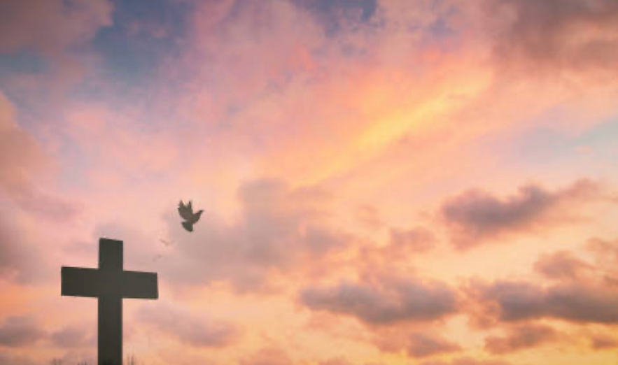 Screenshot 2024-02-15 at 9.14.56 AM.png