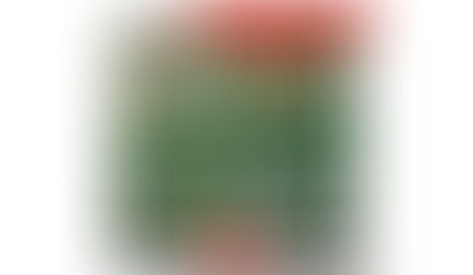 Carbon Disclosure Project gives CAREL a score of "B", improving on its previous rating