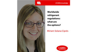 Worldwide refrigerant regulations: what are the options?