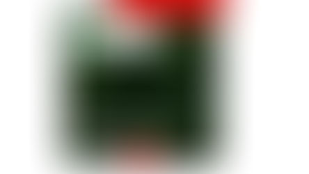 Fifty new trees to celebrate CAREL’s fifty years