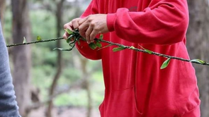 E Lei ʻO Pololū (Kohala Mountain News)