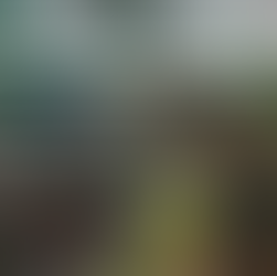 The Politics of Distraction: Why the Most Consequential Decisions Are Made While You’re Looking Elsewhere