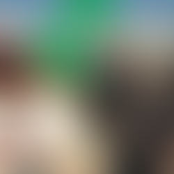 Libya Revisited: The Killing of Saif al-Islam Gaddafi and the Cost of Regime Destruction