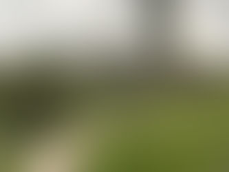 Paysage verdoyant des rizières en terrasses de Bali, Indonésie, capturé lors d’une randonnée au cœur de la nature tropicale.