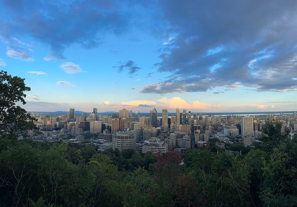 Vue panoramique sur Montréal depuis le belvédère Kondiaronk au mont Royal