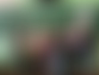 День української писемності та мови