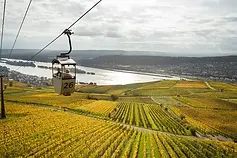 Rudesheim AMA.webp