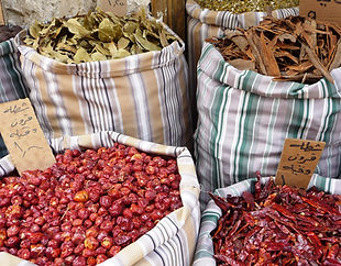 Amman AVD Day 2.jpg