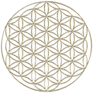Logo Perla (8).png