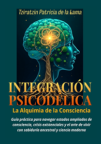 INTEGRACIÓN PSICODÉLICA (13.612 x 9.25 in).png