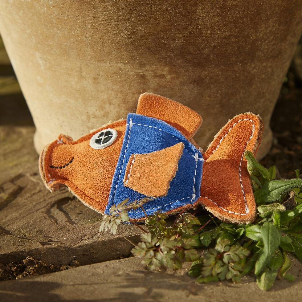 Thumbnail: Goldie the Goldfish, Eco Toy