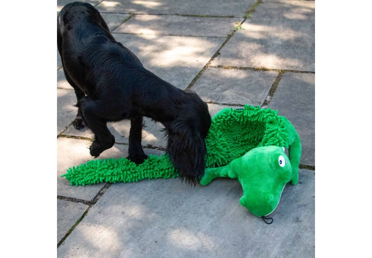 Thumbnail: Snuffle Croc