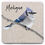 Thumbnail: Blue Jay Bird "Your State or Text" Coaster
