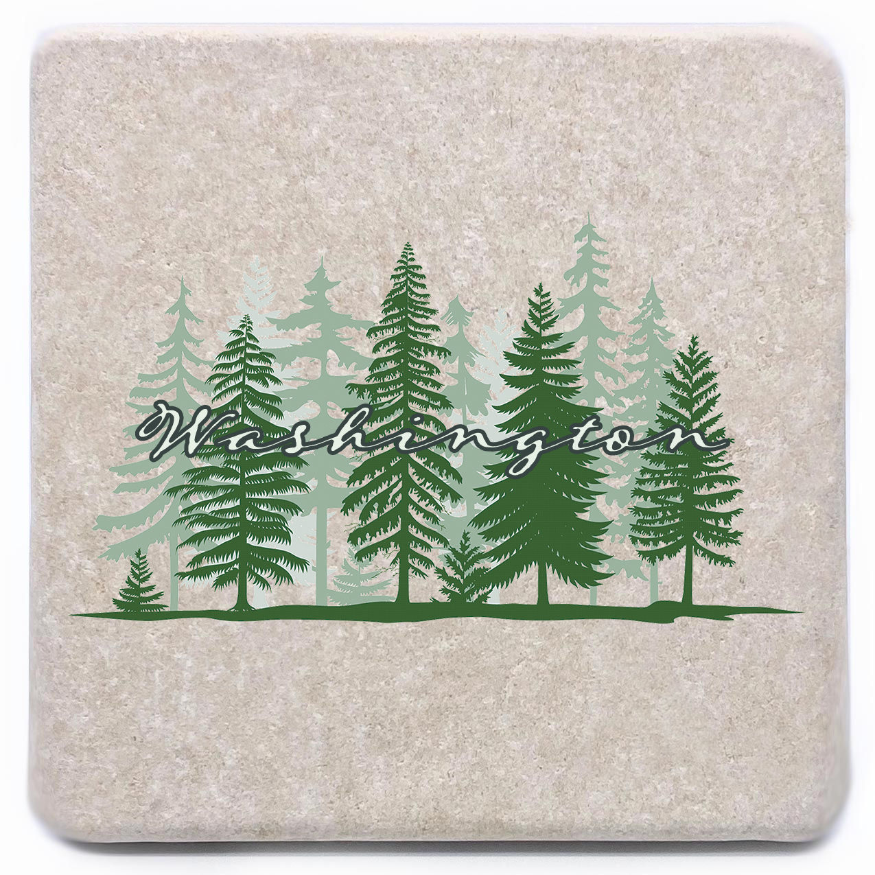 Washington Pine Trees in Color Coaster