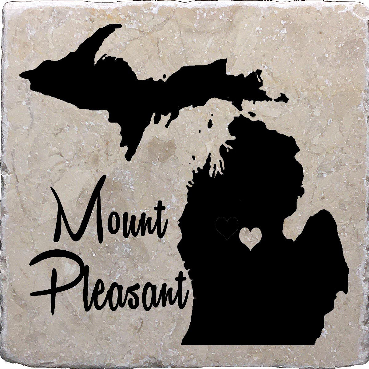 Mt. Pleasant Michigan Coaster