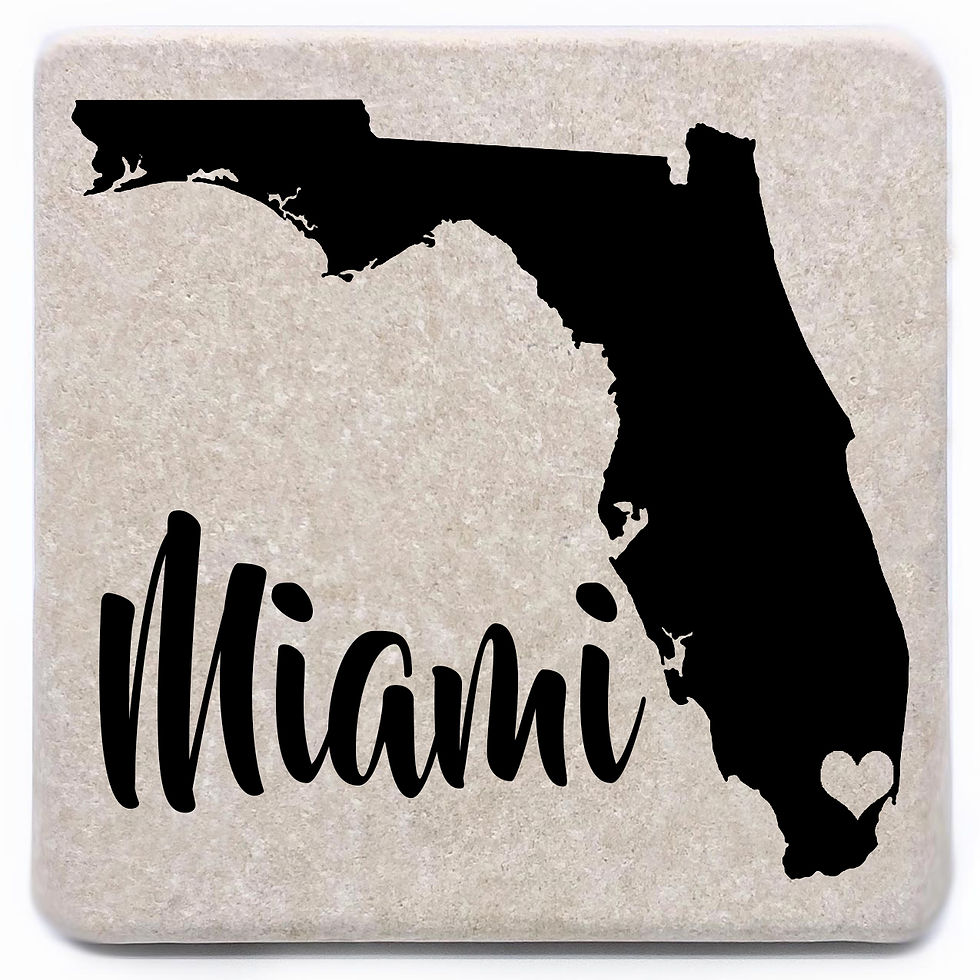 Miami Florida Coaster