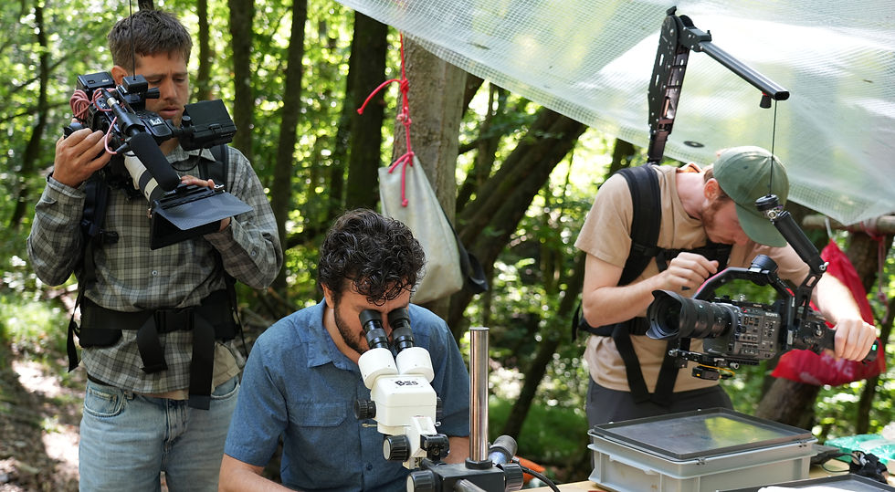 Tournage Tessin Fossile-cut.jpg