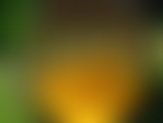 The Best Freestanding Swinging Egg Chairs!